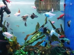 -多彩贵州城极地海洋世界