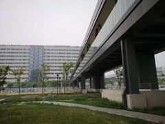 -首都医科大学附属北京天坛医院