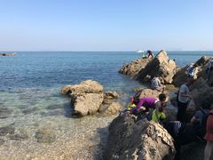 -东港音乐喷泉广场