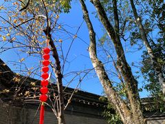 -天一阁博物院