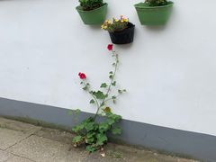 -丝绸小镇荻港古村