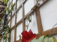 -木王宴语·野生鲜菌火锅(玉河店)