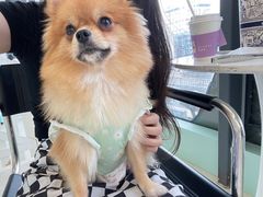 -怪兽屋·羊驼·猫咖·狗咖(俊华广场店)