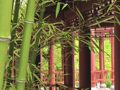 -楚望台遗址公园