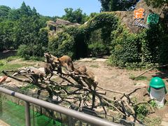 -宁波野生动物园
