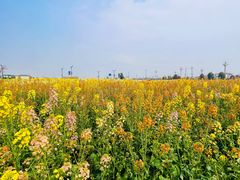 -中国天府农业博览园