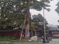 -峨眉山报国寺