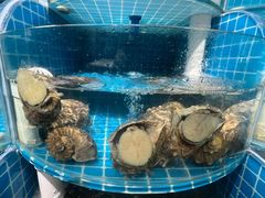 -正亮农家院·海鲜本地菜
