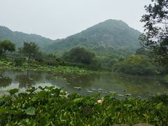-八卦田遗址公园