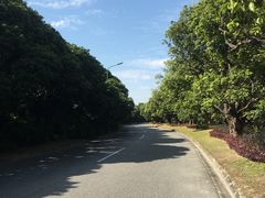 -中旅阿那亚九龙湖·公主酒店