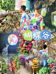 点击看大图 -欢乐舟·舟舟玩乐园