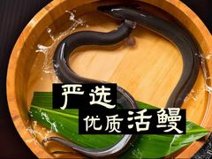 -玄白·炭烤活鳗(上海首店)