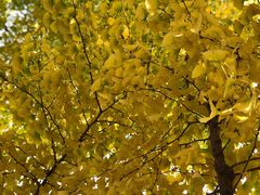 -北京东直门智选假日酒店