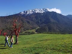 -硗碛藏寨·神木垒景区