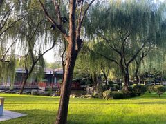 -唐城墙遗址公园