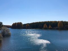 -塞罕坝国家级自然保护区