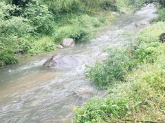 -藏龙百瀑风景区