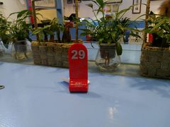 -老巷羊蝎子城(湘江世纪城店)