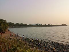 -宝安西湾红树林湿地公园