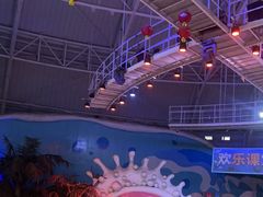 -烟台海昌鲸鲨海洋公园