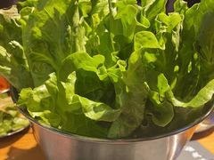 生菜-唯成•韩国炭火烤肉 유성고기