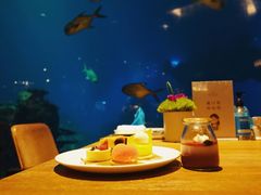 -涛·海底餐厅·美人鱼·自助餐·海底隧道(三亚海棠湾洲际度假酒店)