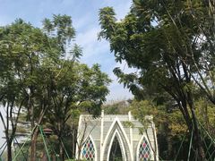 -顺峰山公园