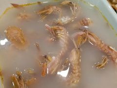 -鸿达渔港