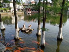 -东莞市可园博物馆