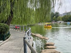 -莲湖公园