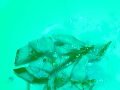 -大鸭梨烤鸭(枣园店)