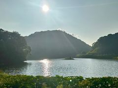 -广州市石门国家森林公园