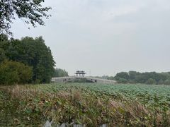 -东湖落雁景区