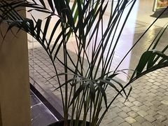 -涟LIAN·泰式按摩·MASSAGE·SPA(深业上城店)