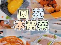 -圆苑(金茂店)
