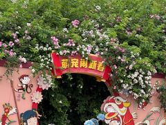 -泗洪洪泽湖湿地景区