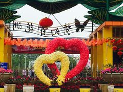 -松山湖梦幻百花洲