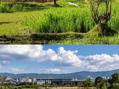 -洱海月湿地公园