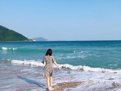 -西涌国际滨海旅游区