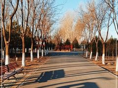 -东郊湿地公园