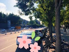 -玲珑塔公园