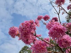 -上楼私房菜(院士路店)