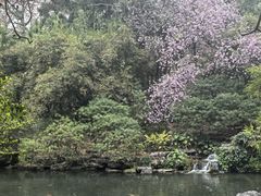 -柳侯公园