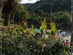 -重庆海昌加勒比海水世界