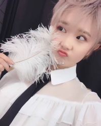 -崇尚GAVIN STYLE