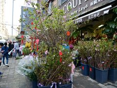 -溪岸路花鸟市场