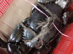 -龙海鲜螃蟹王(宏茂桥店)