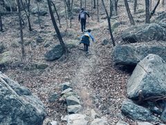 -阳台山自然风景区