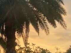 -鼎龙湾德萨斯水世界