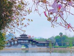 -南宁花花大世界景区